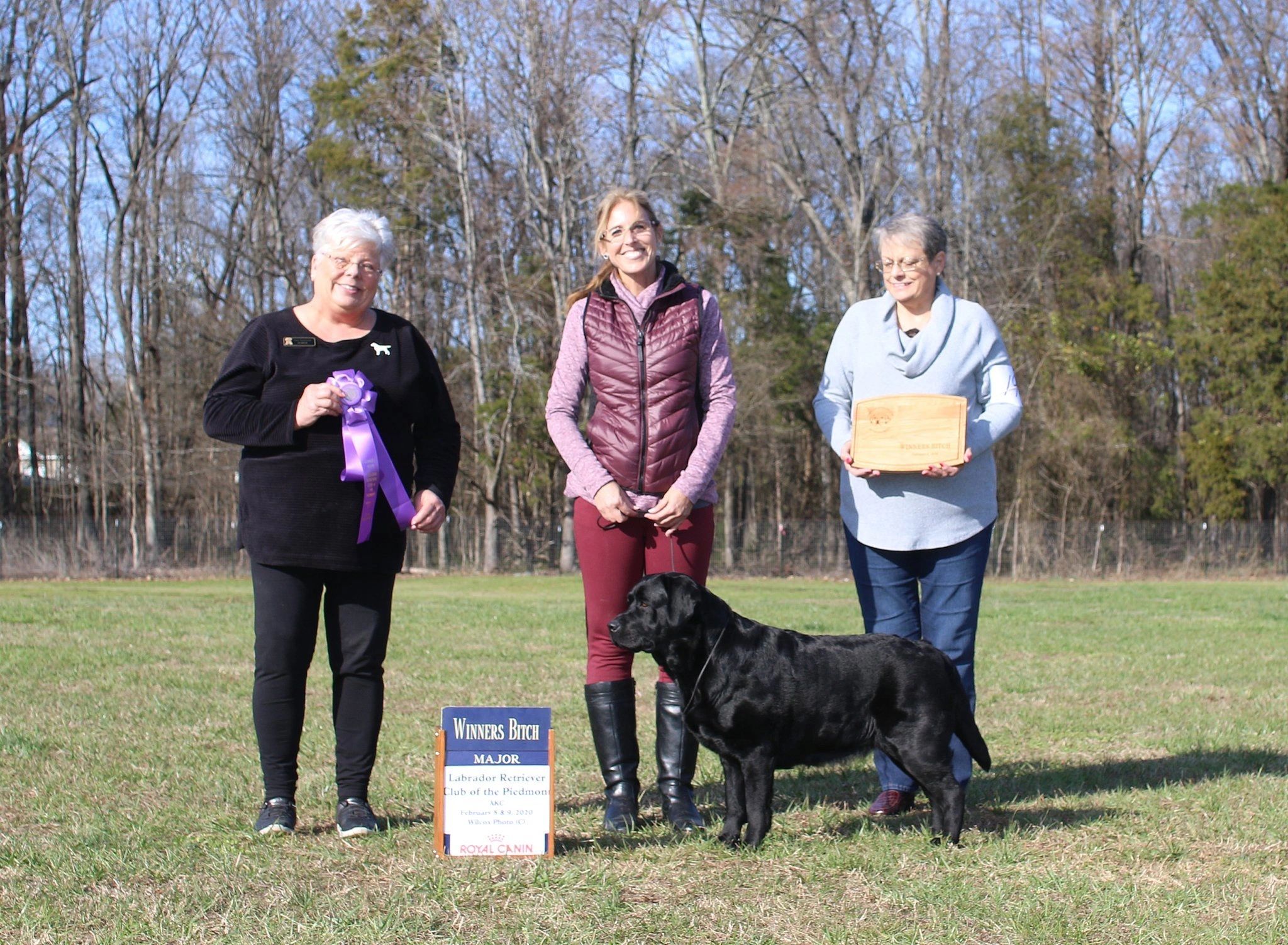 Winners Bitch 5 Point Major  Labrador Retriever Club of the Piedmont 