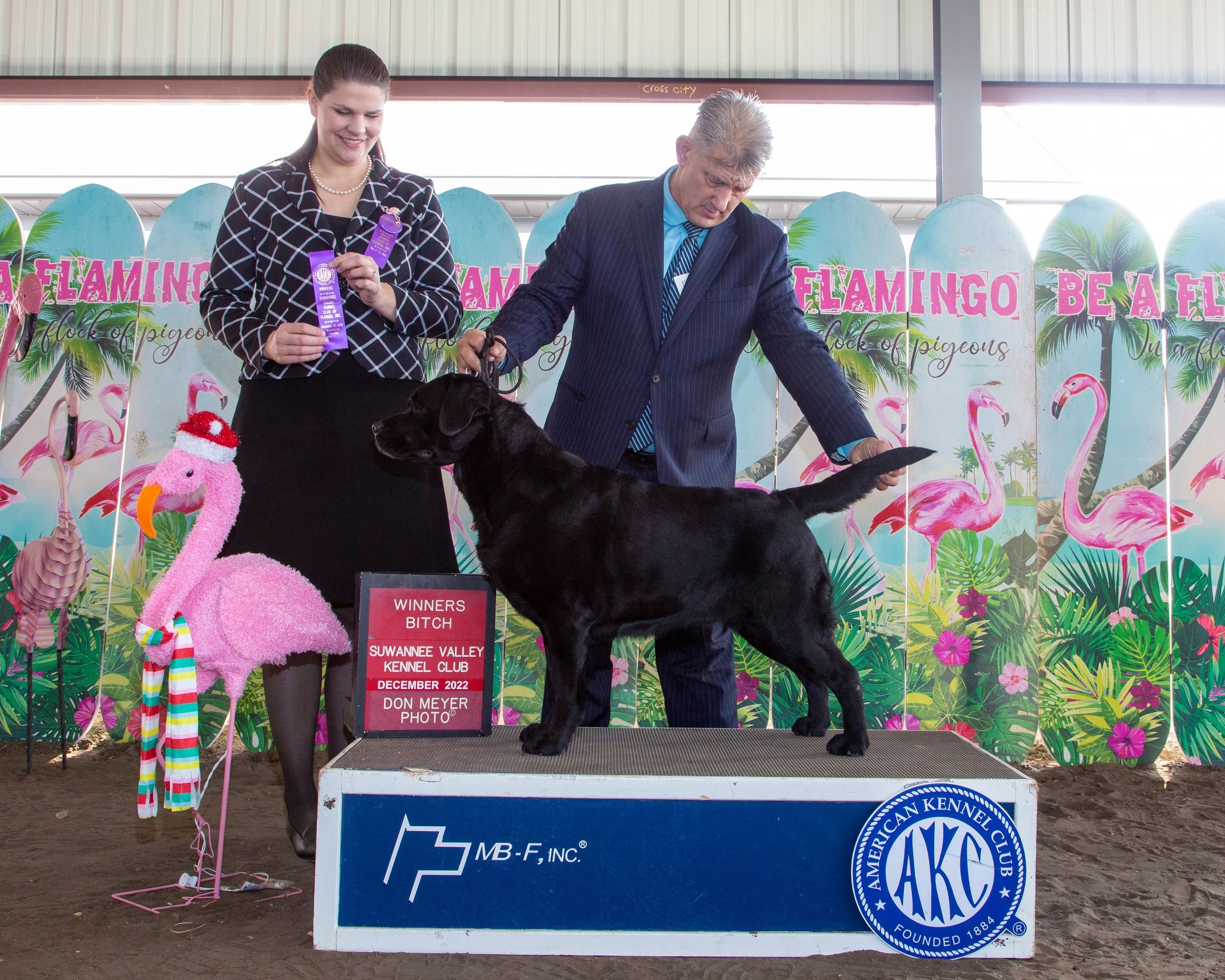 Winners Bitch Suwannee Valley Kennel Club Newberry FL December 2022