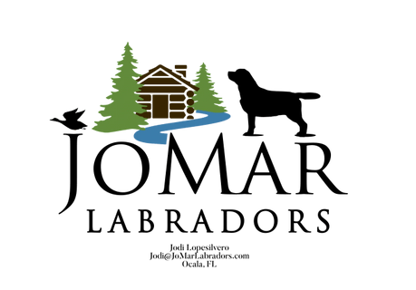 JoMar Labradors
Jodi Lopesilvero Eiland
jodi@JoMarLabradors.com
O