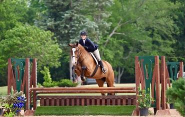 Equestrian rider jumping over an obstacle with a chestnut horse.