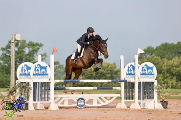Equestrian rider and horse mid-jump over obstacle in competition.
