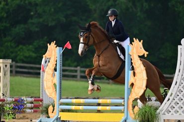 Equestrian rider jumping a horse over a colorful obstacle in a competition.