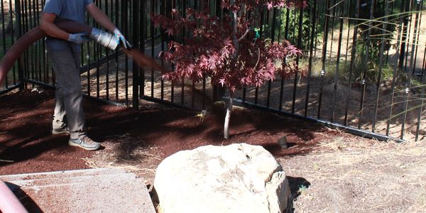 Bark - Advanced Bark Blowing