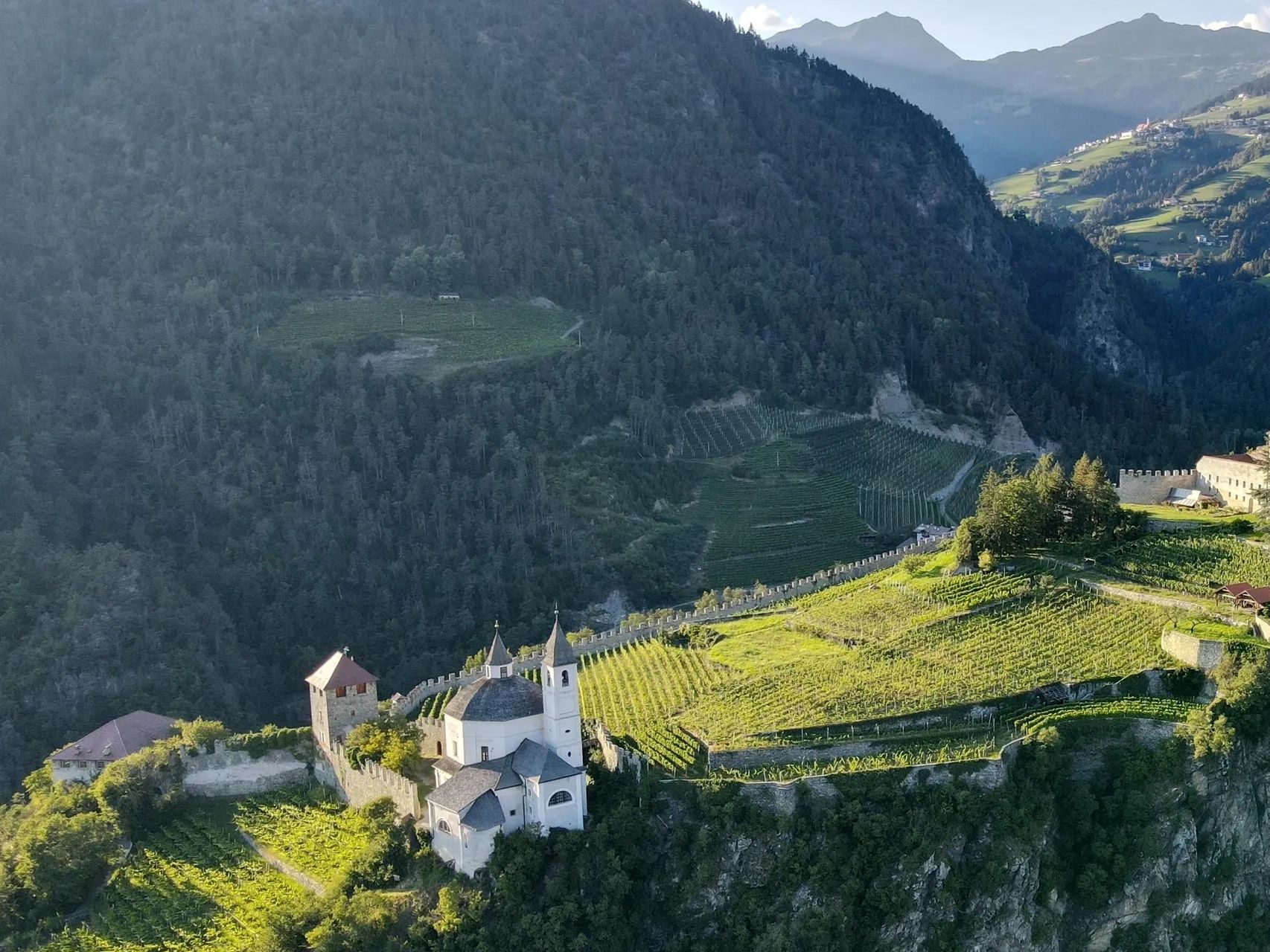 Historic castle and church nestled in lush green vineyards on a mountain slope.