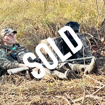 Hunter rests in camouflage with his dog in a woodland clearing.