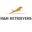 H & H Retrievers