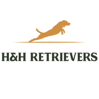 H & H Retrievers