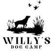 Willy's Dog Camp
