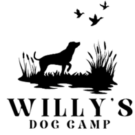 Willy's Dog Camp