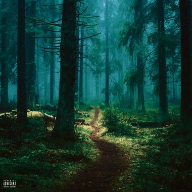 Misty forest path surrounded by tall trees and dense greenery.