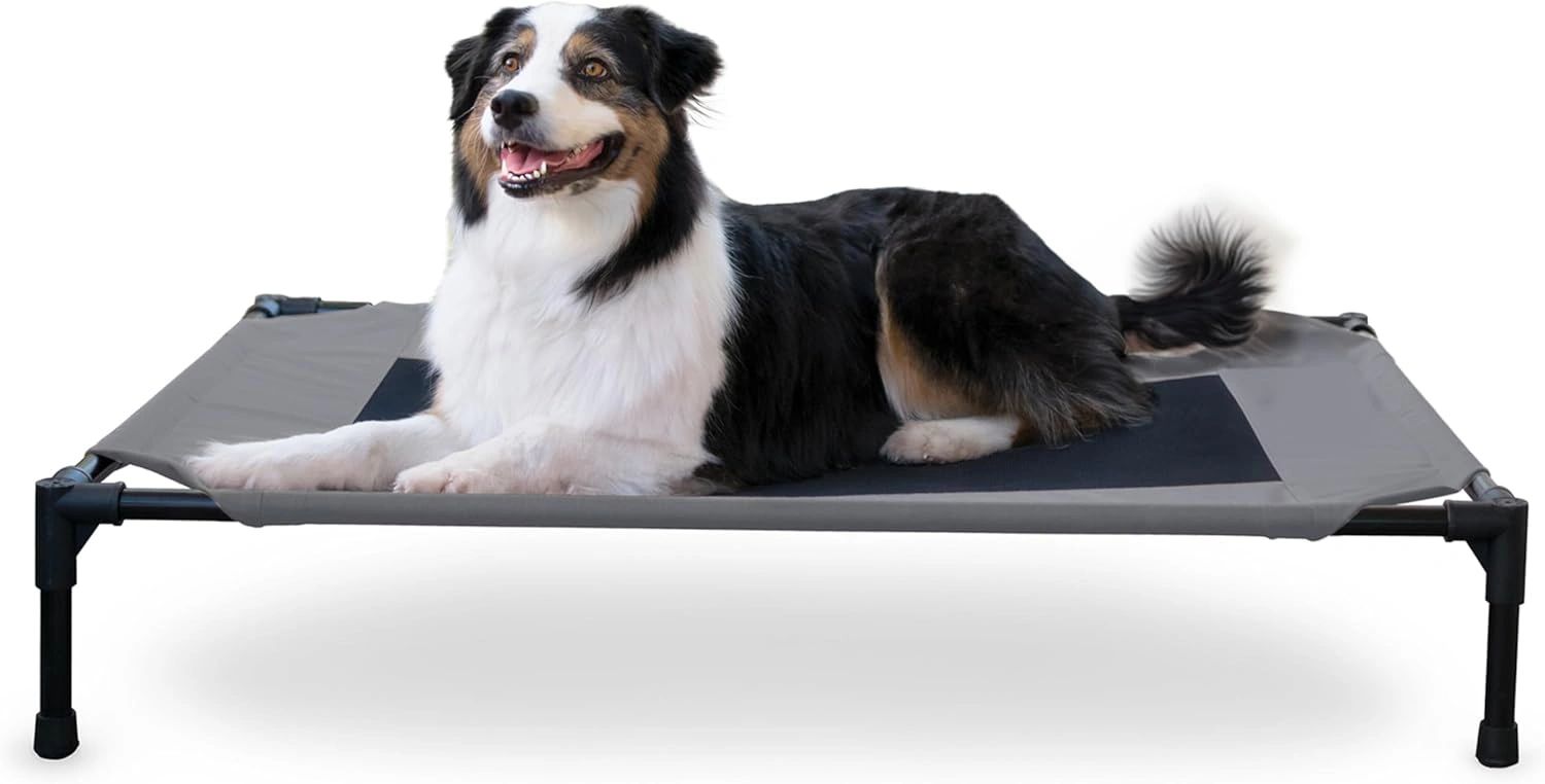 Most Effective Ways to Help a Dog with Separation Anxiety