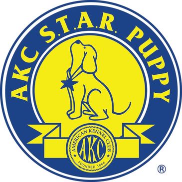 AKC Puppy STAR