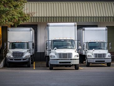 Phipps Global Transport