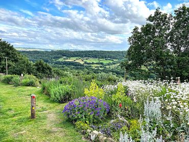 Walks near Tower Cottage holiday home 