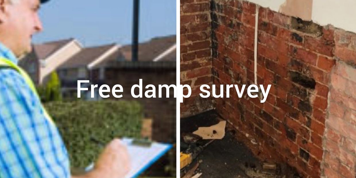 Damp survey