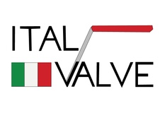 ITAL VALVE SDN. BHD. (1341399-V)
