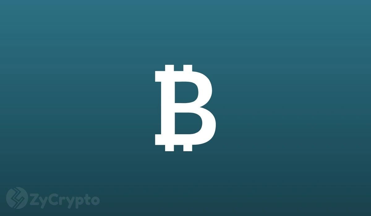 The Many Theories Of Elon Musk Being Satoshi Nakamoto