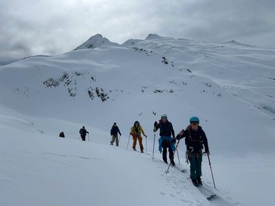 selkirk lodge group skin
