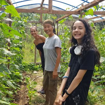 Permaculture provides the context and framework for project-based learning at the Earth School.