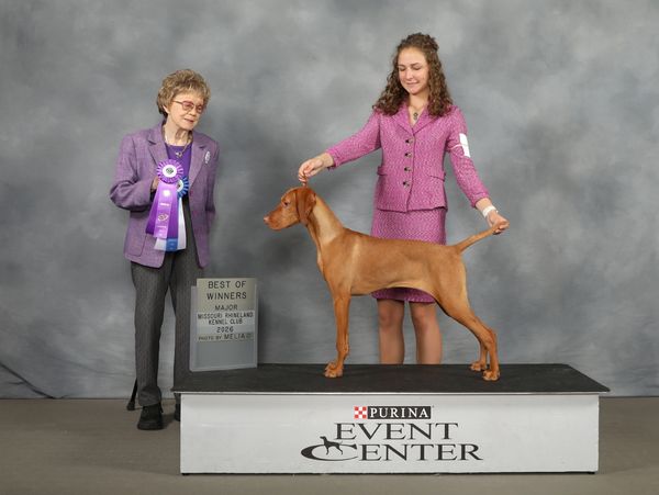 Woman and judge with a winning dog at a dog show event.