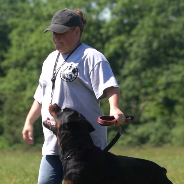A woman walks with a large black dog outdoors on a sunny day.