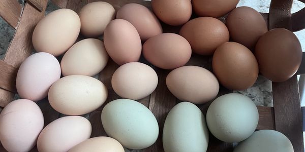 A basket of eggs in various natural colors including white, brown, and greenish-blue.