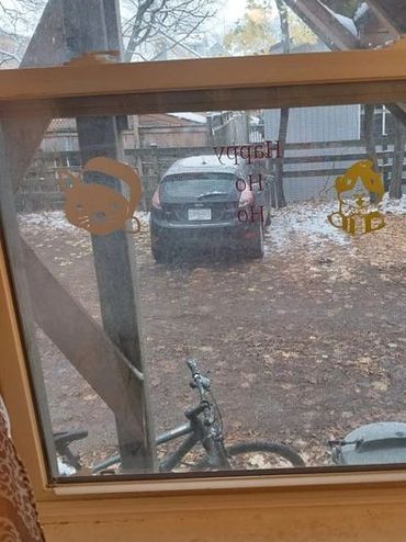 funny window decals