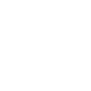 Ray Educational Partners