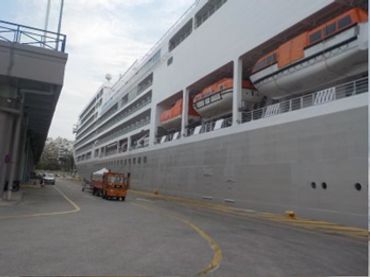 Cruise Liner Survey