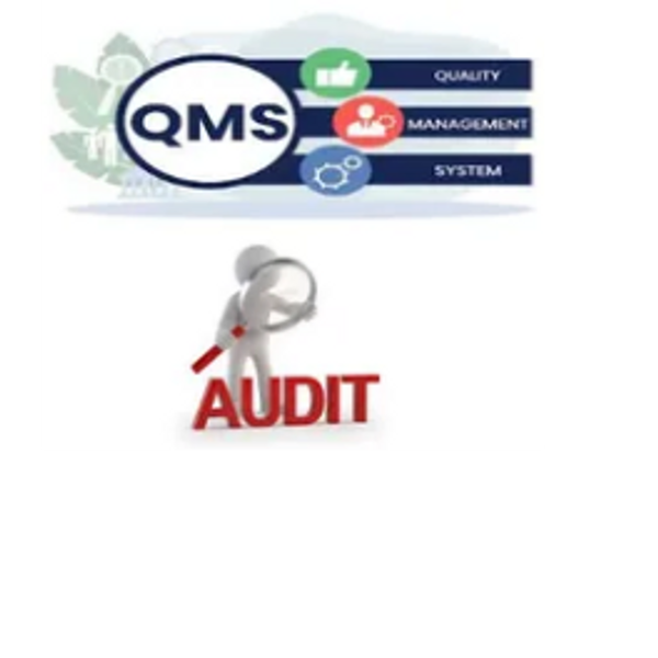 Building robust quality management system and conduction QMS audits to ISO 9001 / IATF 