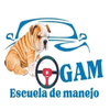 Escuela de Manejo GAM