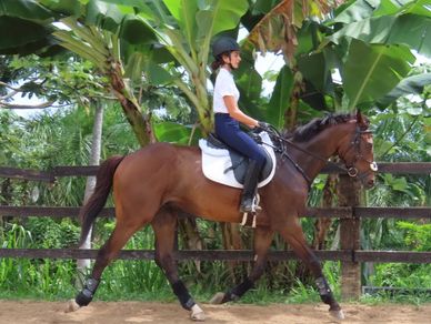 Horseback Riding  in El Yunque, Rio Grande, Puerto Rico