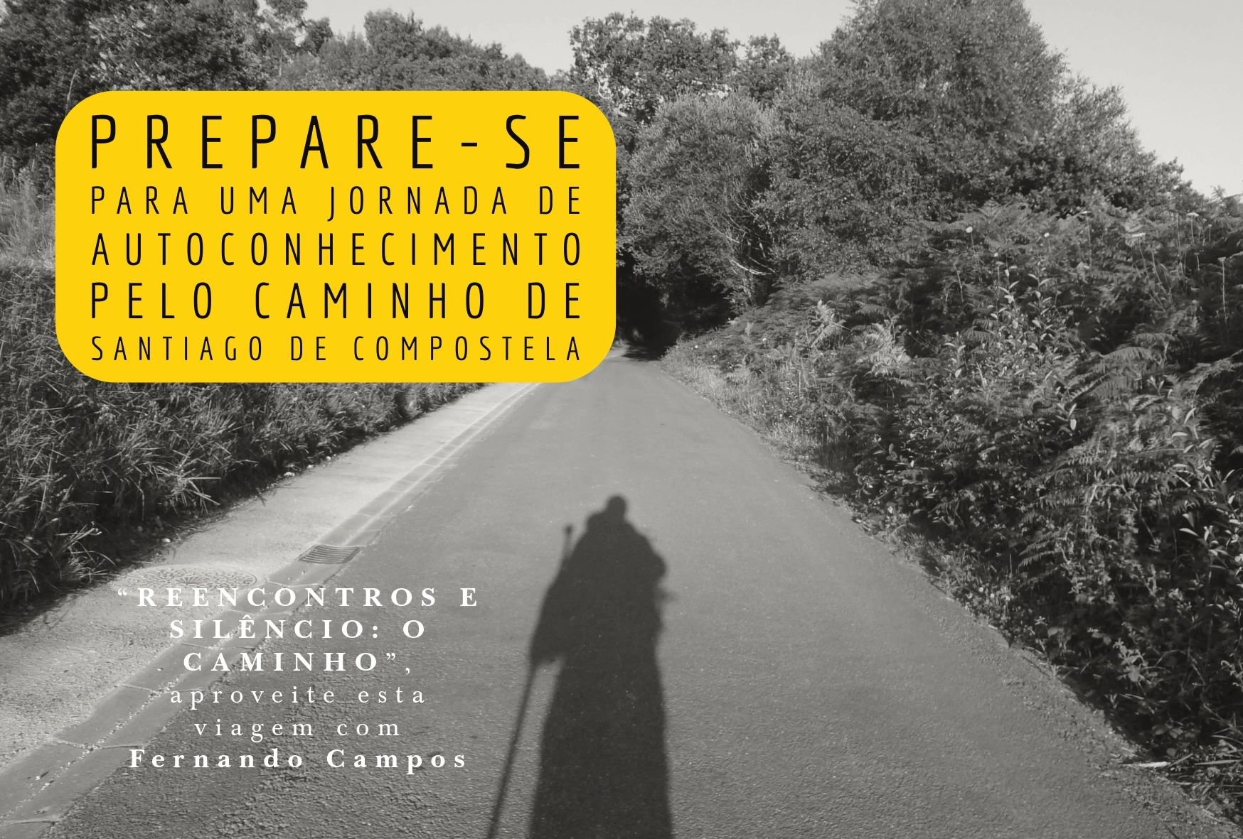 Editora Longarina Ltda