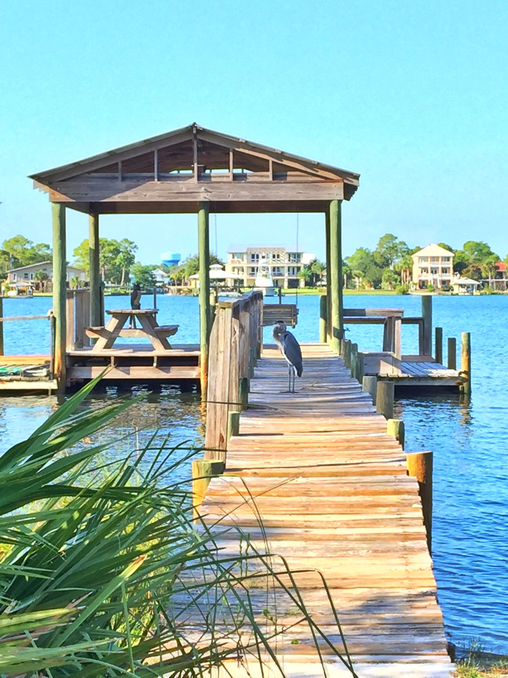 Blue heron on fishing pier at Cotton Bayou Alabama