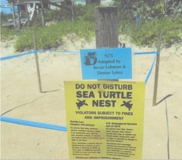 Sign warning against disturbing a sea turtle nest on a sandy beach.