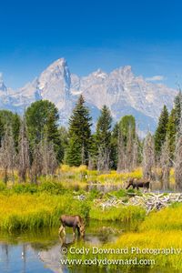 jackson hole photography tour