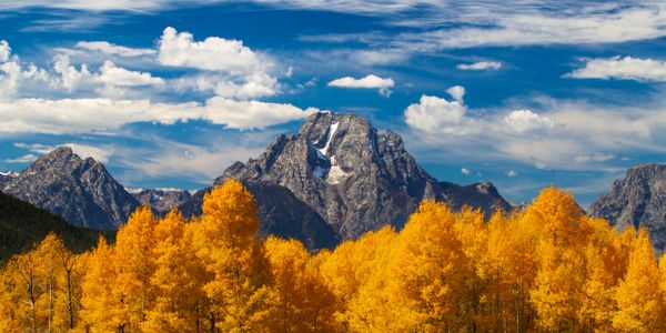Golden autumn trees with towering mountains under a blue sky.
