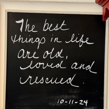 Inspirational quote about cherishing old, loved, and rescued things.