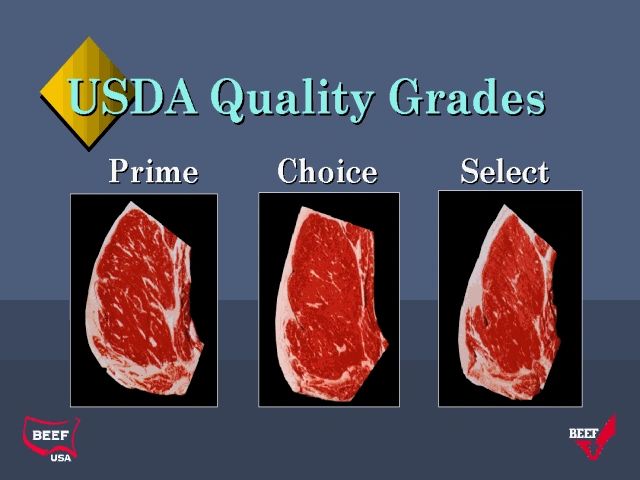 usda quality grades graphic
