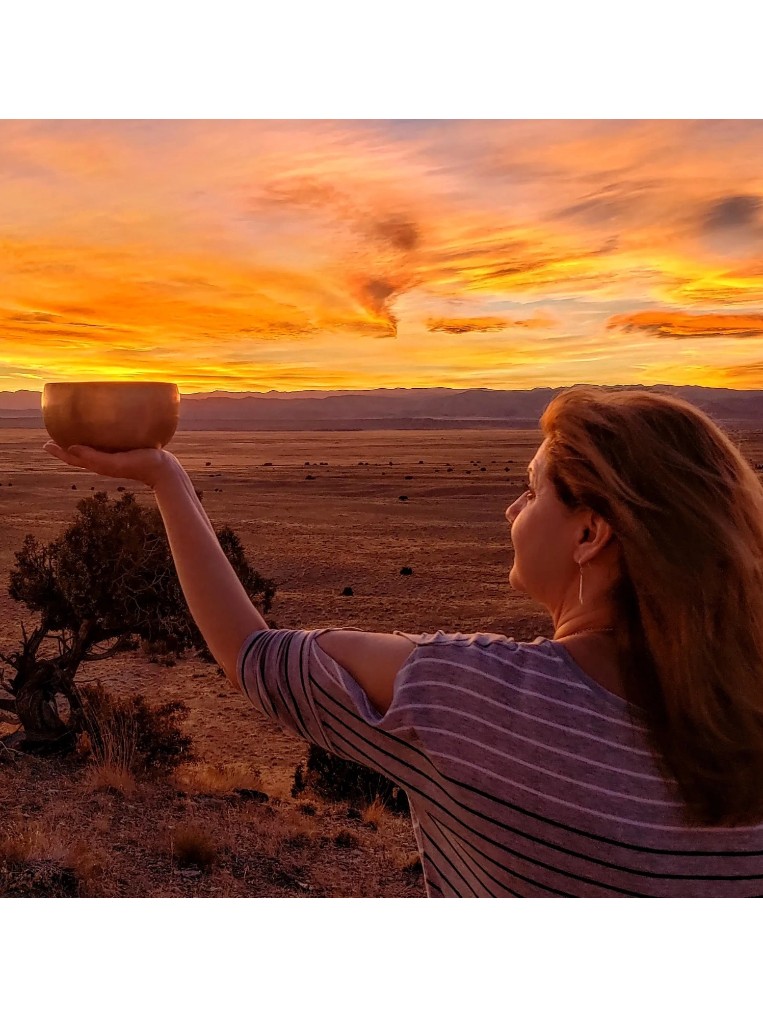 Ann Martin holding up metal bowl into sunset