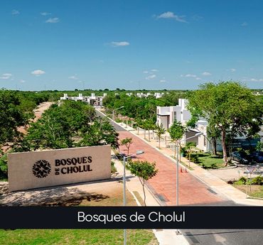 Entrance view of Bosques de Cholul residential area with modern houses and greenery.