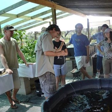 Aquaponic Training and Workshops