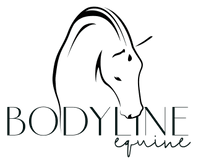 Bodyline Equine