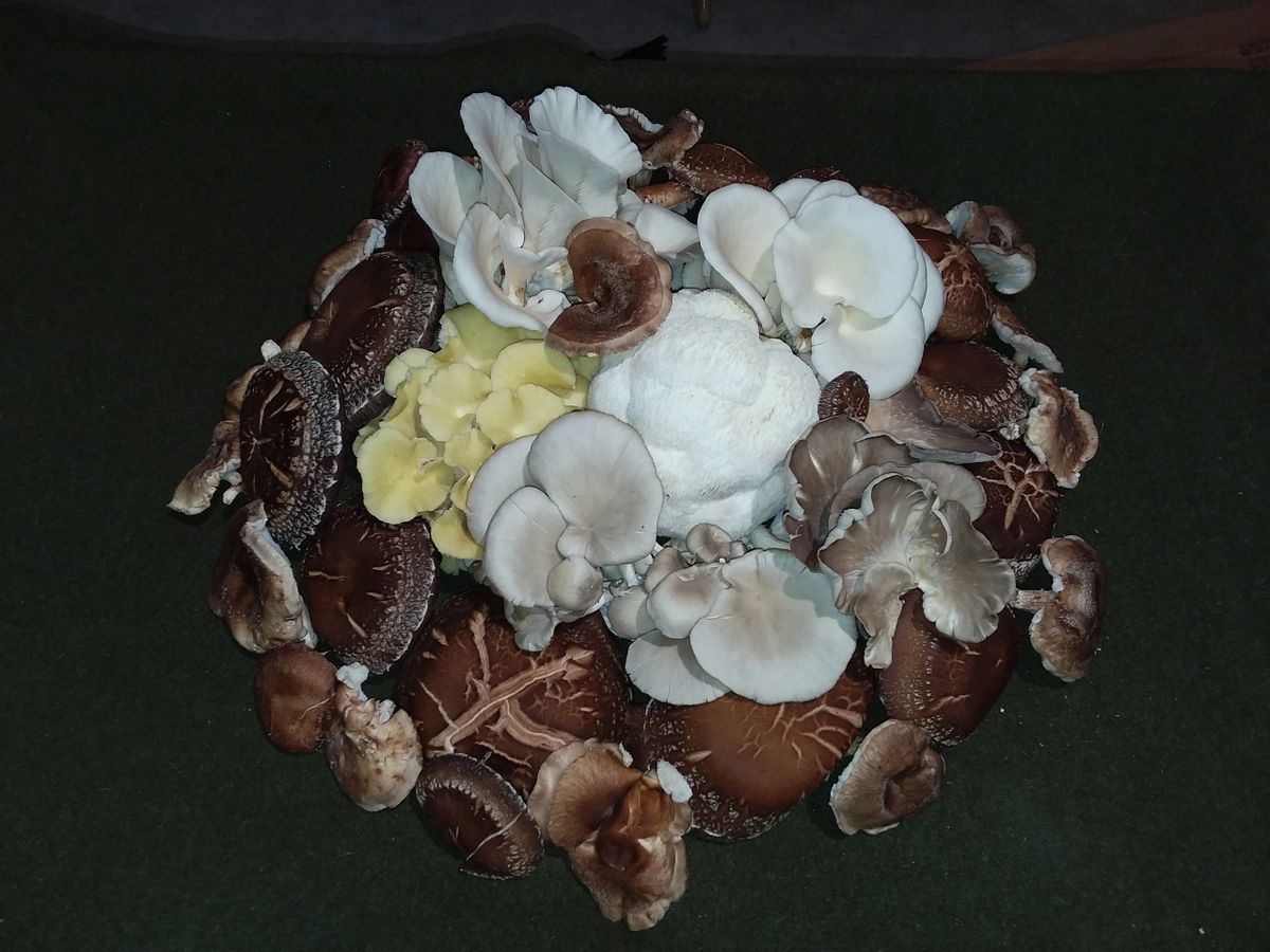 Farm Fresh Mushrooms