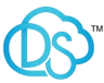 Digital South