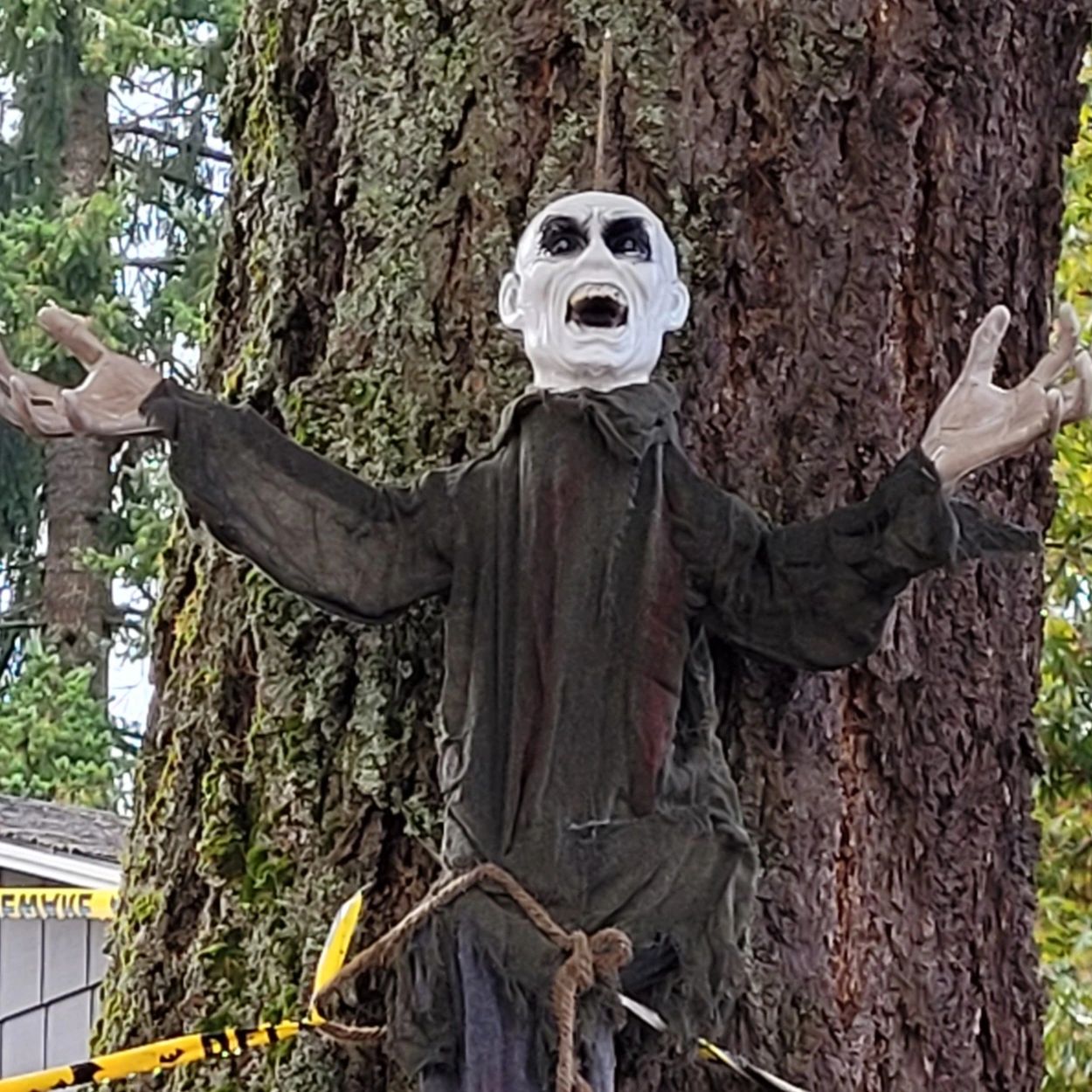 ghoul figure tied to tree