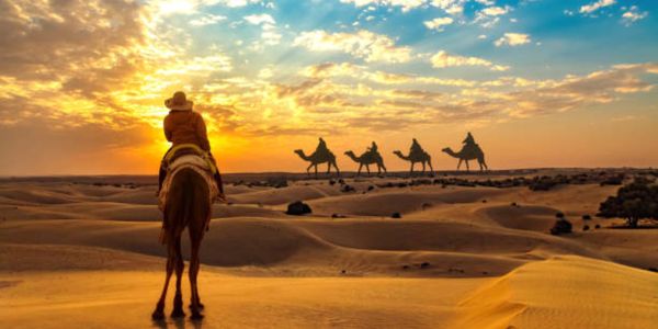 Silhouette of camel riders in a desert at sunset.
