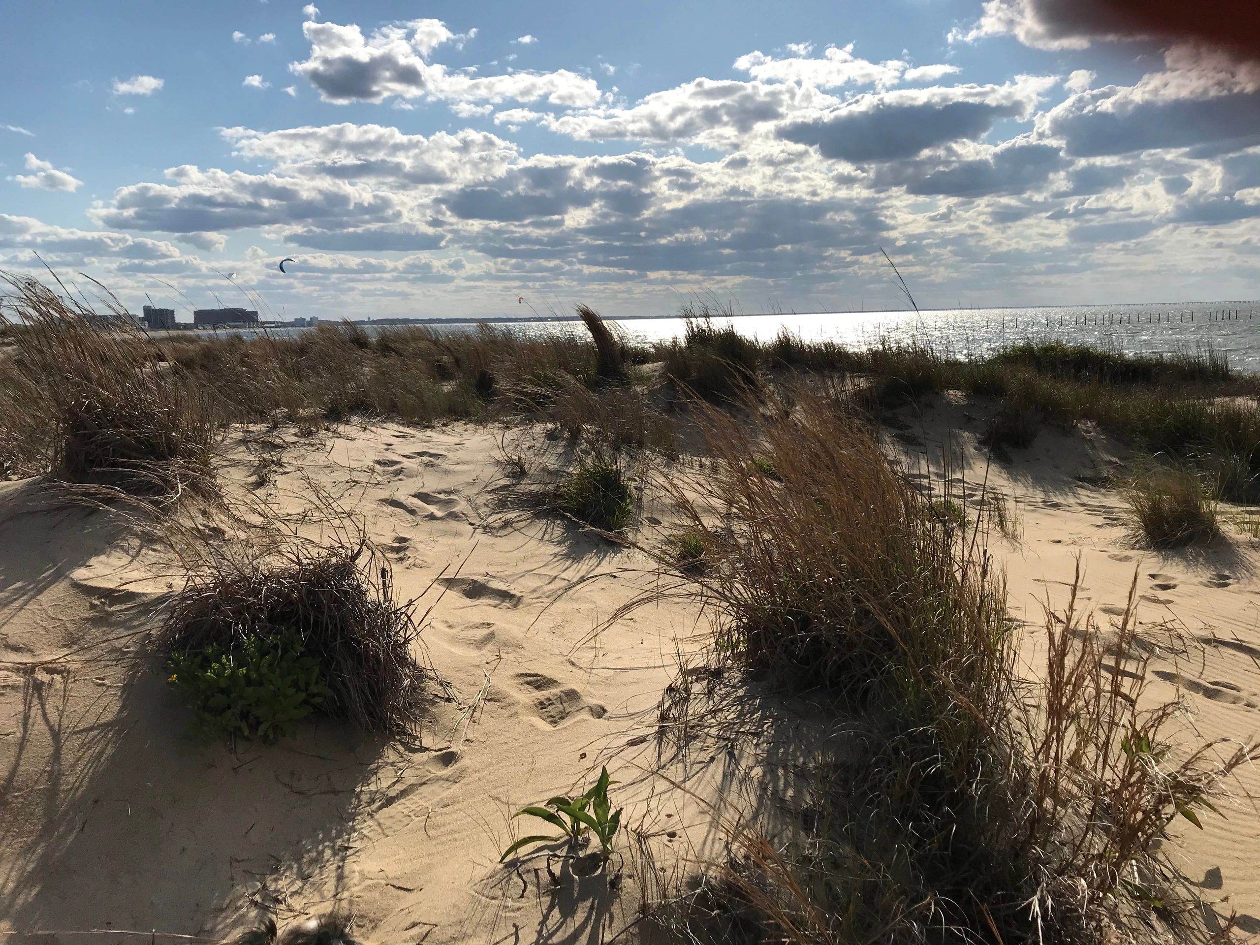 Friends of First Landing State Park General Meeting