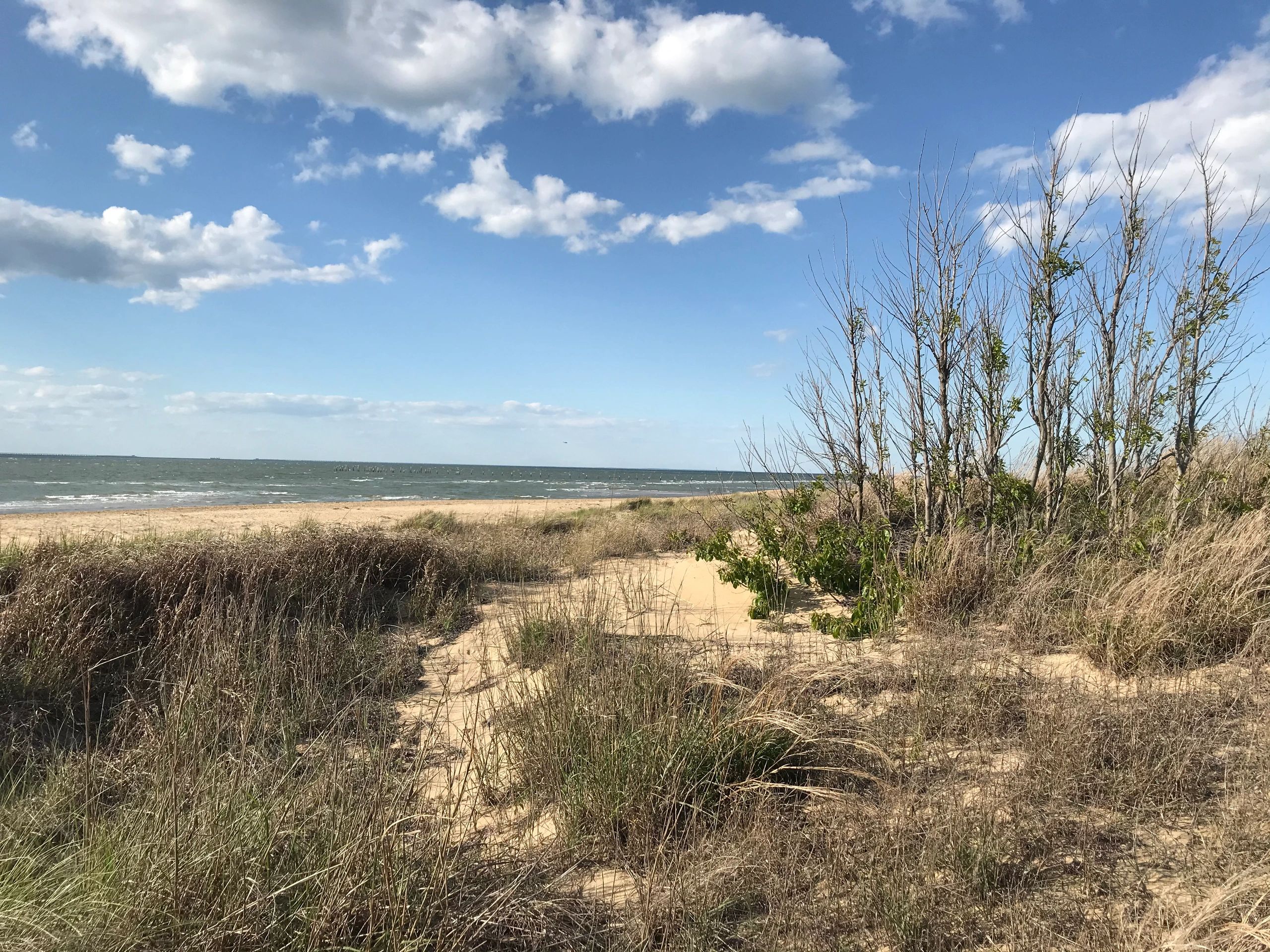 History of First Landing | Friends of First Landing State Park