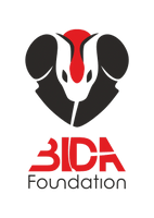 Bida Foundation Online